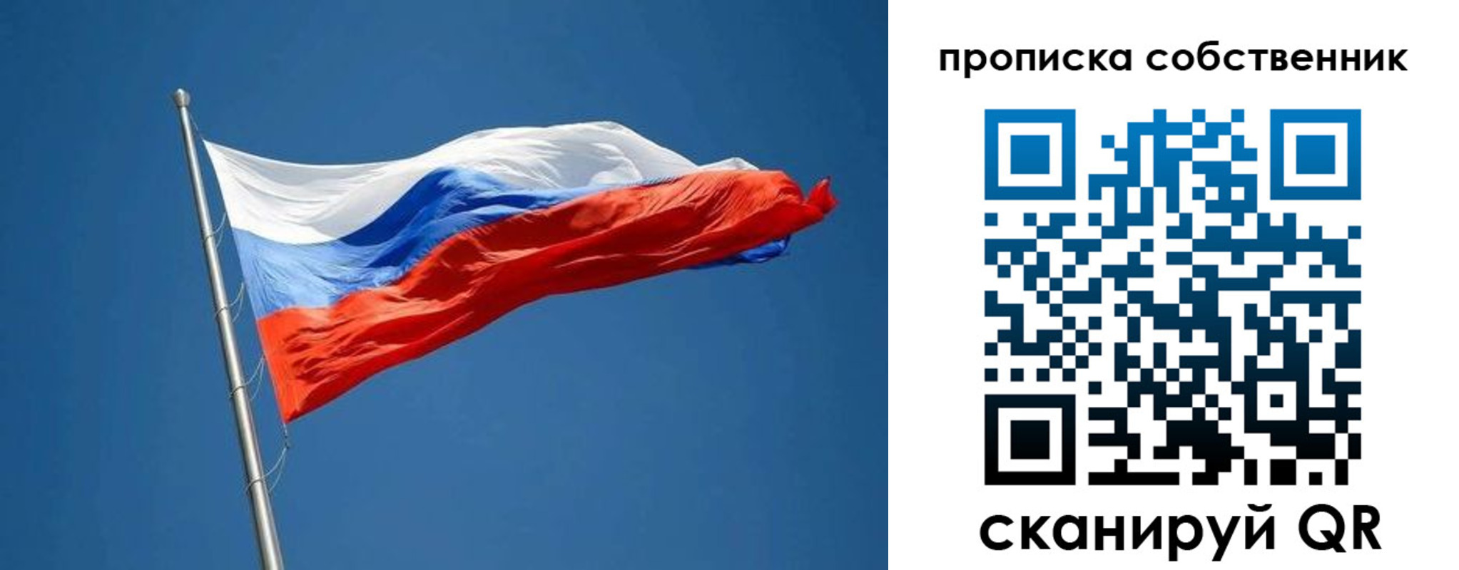 пропишу в квартире в Павловске
